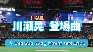 【川瀬晃】2024年登場曲 ♪ YAH YAH YAH / CHAGE and ASKA 2024.05.06