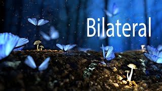 Bilateral Music - Beautiful Piano Orchestral Music with Rain - Relax, Study, Meditate
