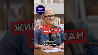 😱 Гормональный сбой, набор веса и вред для печени #пп #ожирение #гормоны #зож #westwood_таблетницы
