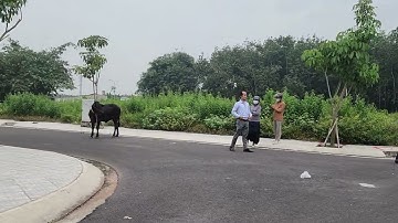 Đất nền Thị Trấn Củ Chi . Mặt tiền Nguyễn Văn Khạ dt 5x25m giá 1ty450 một nền