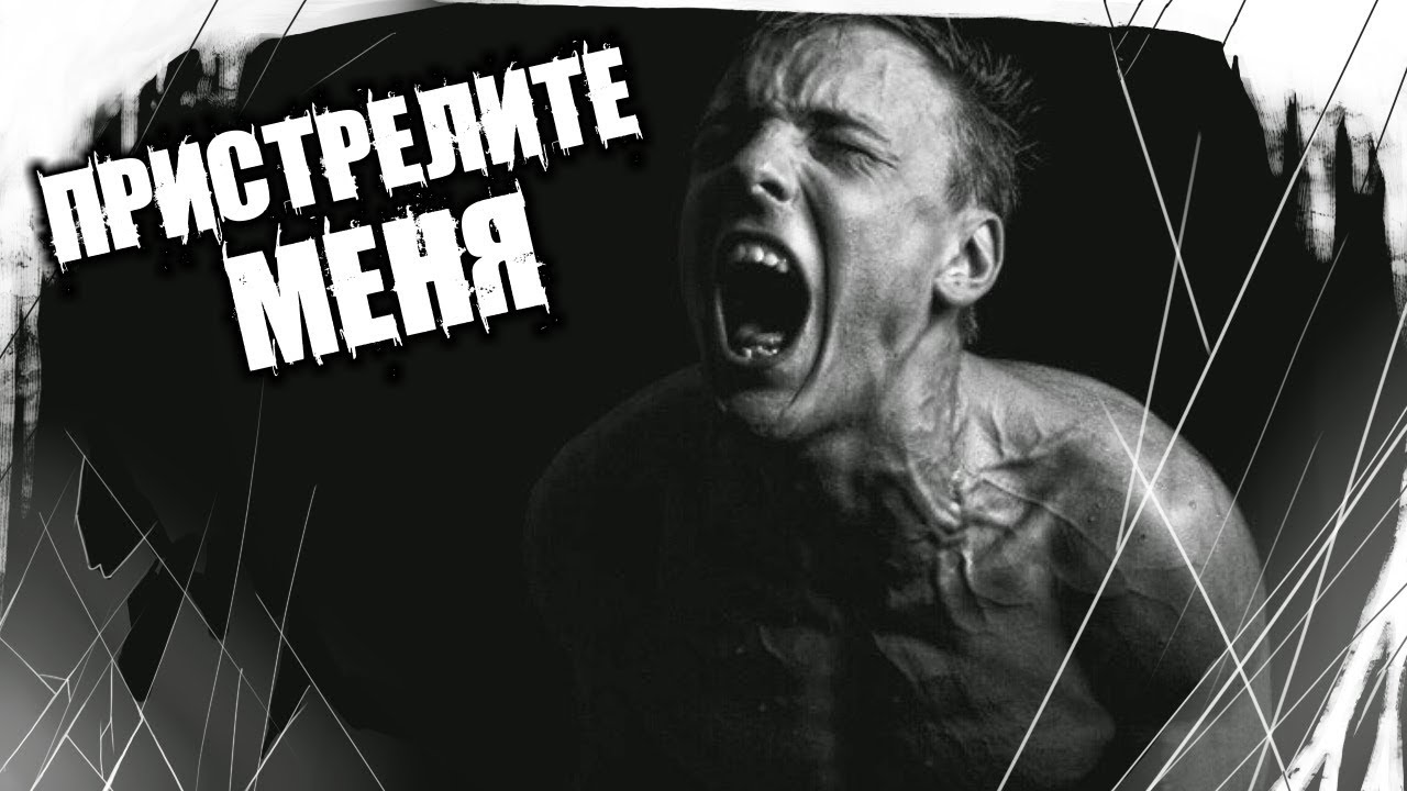 Картинки по запросу Застрелите меня