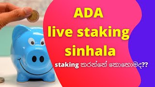 ADA live staking sinhala | binance staking sinhala | how to stake crypto sinhala | sl passive income