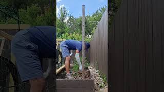 Do this to support your growing tomatoes #diy #diygardening #diyideas #trellis #gardeningtips