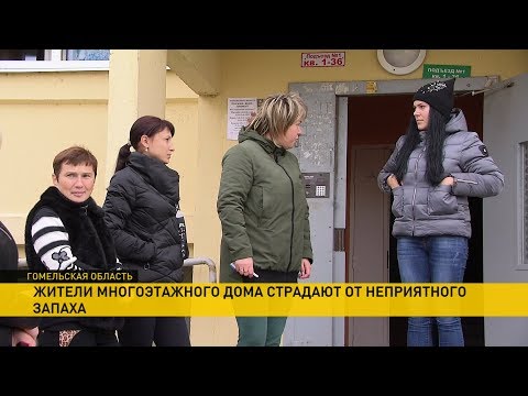 Многодетные семьи в Рогачёве не могут защитить свой дом от дурного запаха