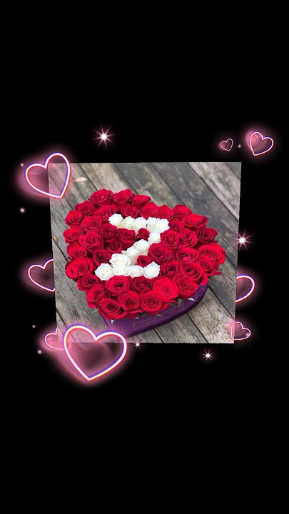 Z name love whatsapp status #short video