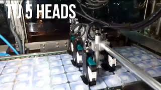 TIJ Multiple heads (5heads) printing | Thermal Inkjet Printer