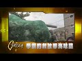 學霸的救故鄉海味蒜 #一步一腳印