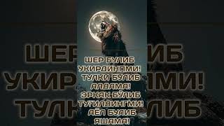 #rek #shayxrahmatullohtermiziy #live #uzbek #qashqirlarmakonipistirma #love #lifeisbutadream