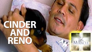 Cinder and Reno - It's a Miracle Profile