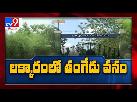 ప్రభుత్వ కృషితో Lakkaramలో తంగేడువనం అభివృద్ధి - TV9