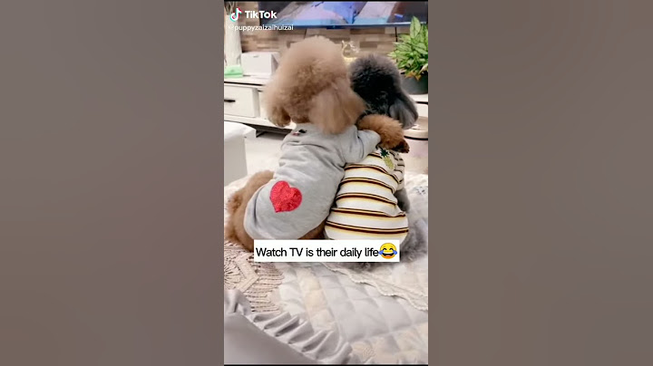 Сладки кученца 🐶🐶🐶.