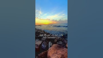 تلاوة هادئة #viral #viral #اكسبلور #راحة_نفسية #المصحف #قرآن #لايك #حالات_واتس #fypシ゚viral