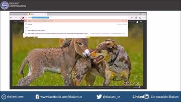 Joomla 3   How to acces the backend