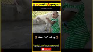 Emotional Story of Monkey 🐒 & Goat Shorts @mayajaalbangla @tbmshortstory #shorts #animals #tiktok
