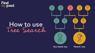 How to find new ancestors with Tree Search | Findmypast