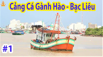 Cùng Ngắm Ghe Bạc Liêu Tại Cảng Cá Gành Hào | Thích Lắm Nhé ! (P1)