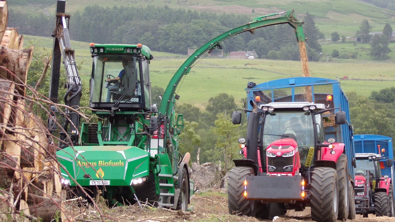Angus Biofuels - Chipping for Biomass - YouTube