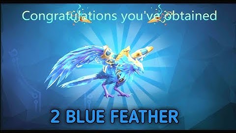 Wishing Well Shell Pool Event