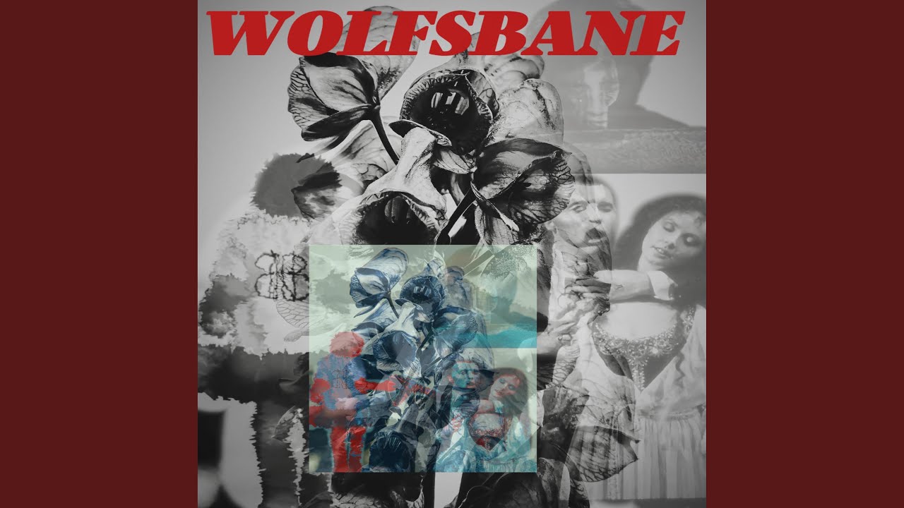 Watch wolfsbane on YouTube Watch wolfsbane on YouTube