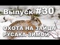 Выпуск 30: Охота на зайца русака зимой онлайн видео 2013