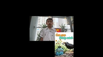 Kể chuyện: Con quạ thông minh| Tiếng Vệt 1 - Tập 1 | Sách kết nối tri thức với cuộc sống