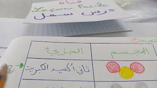الفرض  الاول  للفصل الاول للسنة 2 متوسط (الجزء  1 )