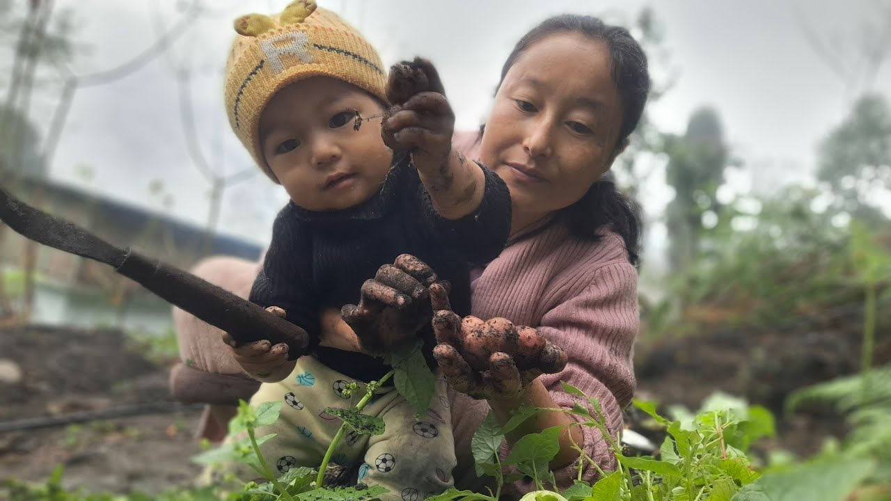 Daily Vlog | Baby Helping Me in Farm 😍 | Cute Village Life 