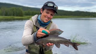 How I Fish Streams -  A Day of Fly Fishing the Vindel River by Fly Fishing by Robert 10,025 views 3 months ago 22 minutes