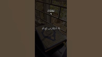 ولا تيأسوا من روح الله #تلاوة_خاشعة #الله #quran #سنة_هجرية #قرآن #كلام_من_ذهب #foryou #fyp #trend