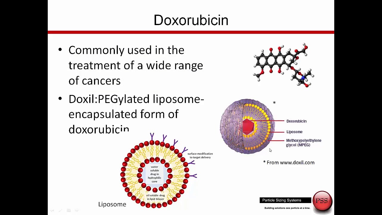 PSS Nanoparticles For Drug Delivery