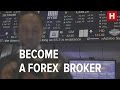 5 Steps To Become A Millionaire Trading Forex! - YouTube