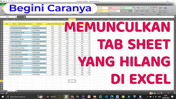 Cara Menampilkan Sheet Yang Hilang di Microsoft Excel 2010