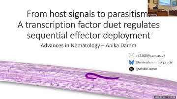 Anika Damm - From host signals to parasitism