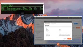 Using PostMan to test OAuth