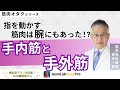 【手内筋と手外筋】指を動かす腕の筋肉を解説します!