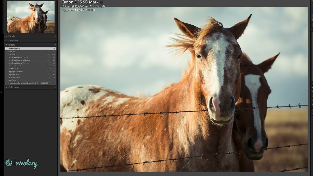 The history panel in Lightroom Classic