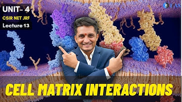 Cell Adhesion Molecules & Cell Matrix Interactions - CSIR Dec 2025 | Emotion 6.0 | Lecture 13 | IFAS