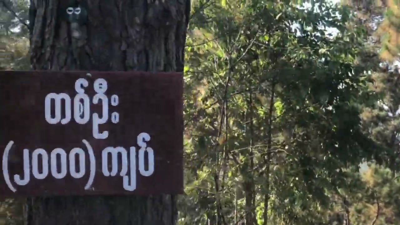 ကလောက City View Point မှာ လည်စရာဘာရှိမလဲ?