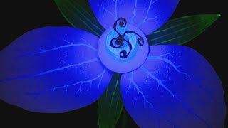 Cincinnati Nature Center's Light in the Forest returns Dec. 1
