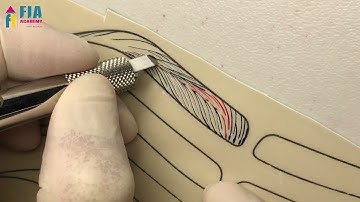 Microblading Patterns  S-curve Brows | FIA Academy