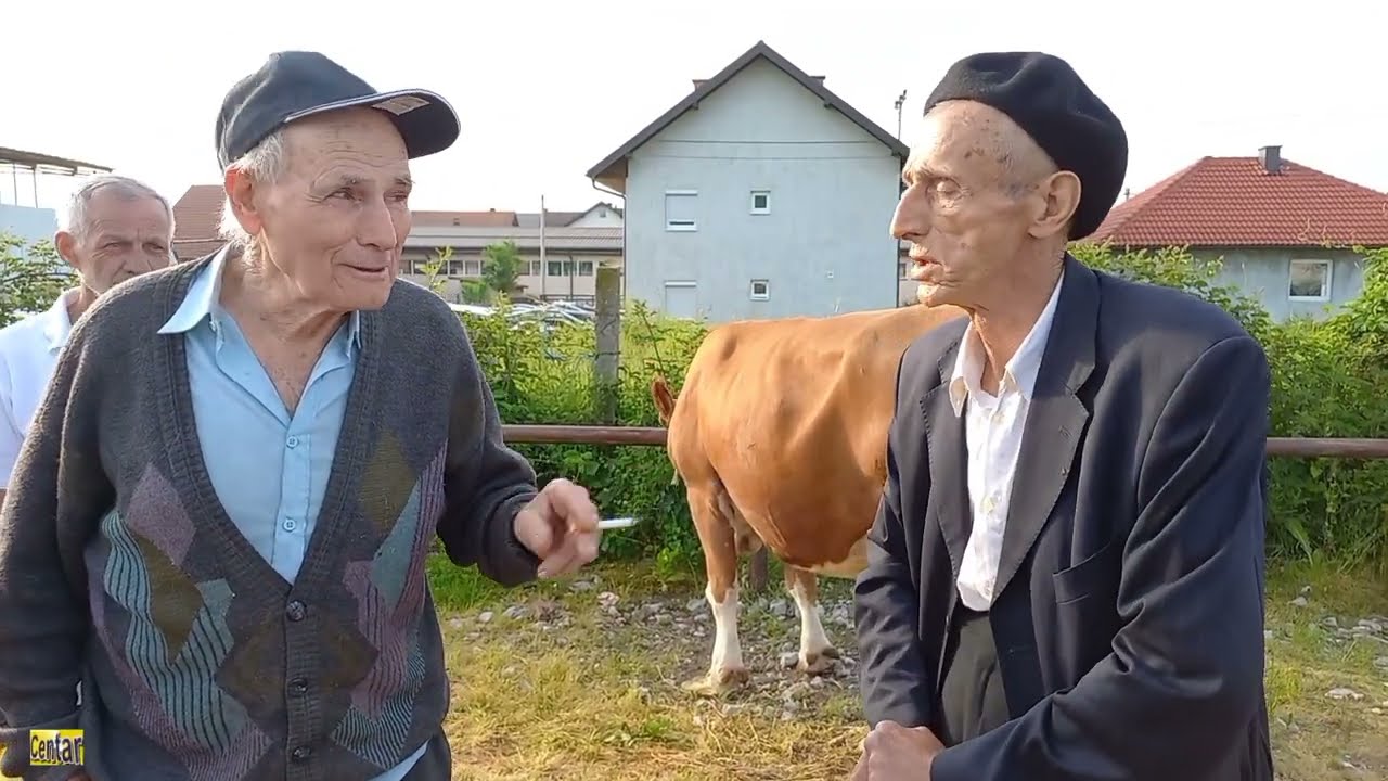 STOCNA PIJACA ( Zivinice-Ciljuge) 25.5.2022 👇Pogledajte i druge reportaze na kanalu CENTAR👇