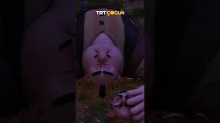 Tenefüste arkadaşlarla sohbet konusu :) #shorts #trtçocuk