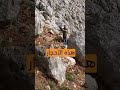 هذه الأحجار العملاقة تهدد حياة السكان في ريف إدلب.. ما قصتها؟ هذه الأحجار العملاقة تهدد حياة السكان في ريف إدلب.. ما قصتها؟