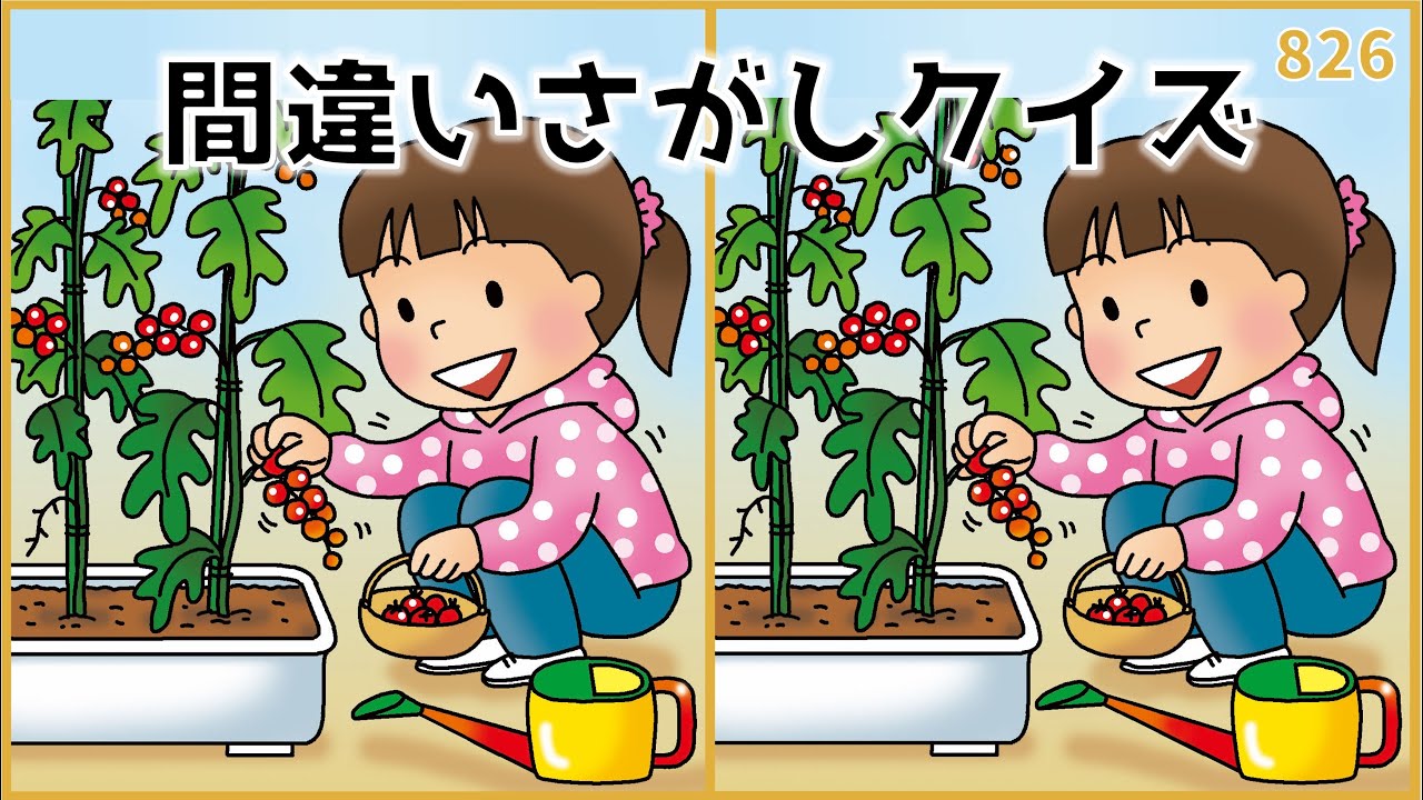 Find the Difference Quiz] Summer Recreation! Free Brain Training