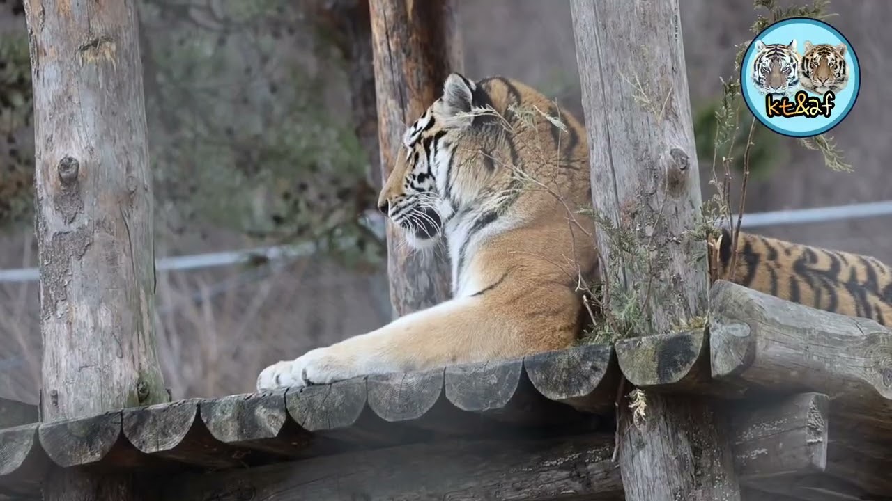 2026 03 02 건강하자♡#Han#Do#NationalBaekdudaeganArboretum#