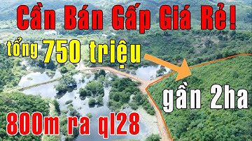 Gần 2ha chỉ 750tr! Bán 19096m2 đất vườn giá rẻ view đẹp gần QL28 có Sổ Hồng + trích lục ở Đăk Nông