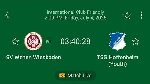 live: SV Wehen Wiesbaden - TSG Hoffenheim (Youth) -