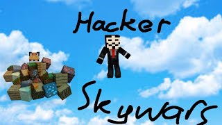 Hacker Skywars | Venity Network