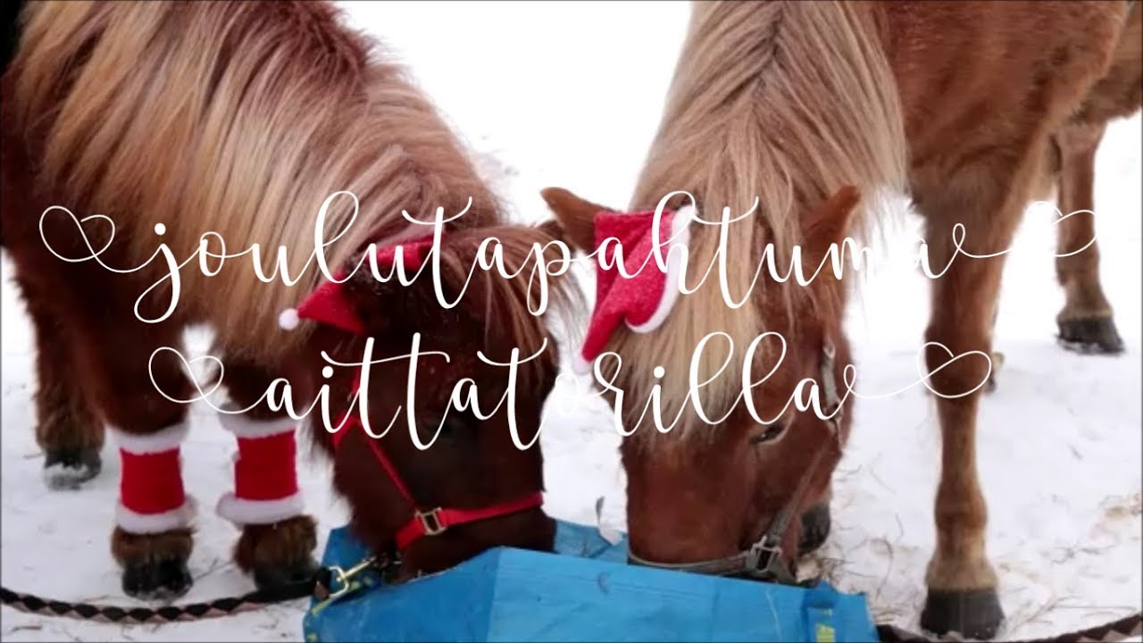 Joulutapahtuma aittatorilla