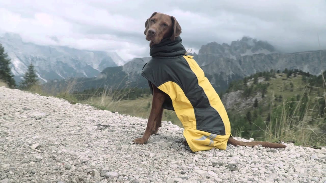 hurtta pet collection summit parka for dogs
